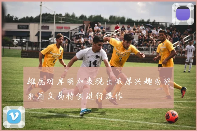 雄鹿对库明加表现出浓厚兴趣或将利用交易特例进行操作