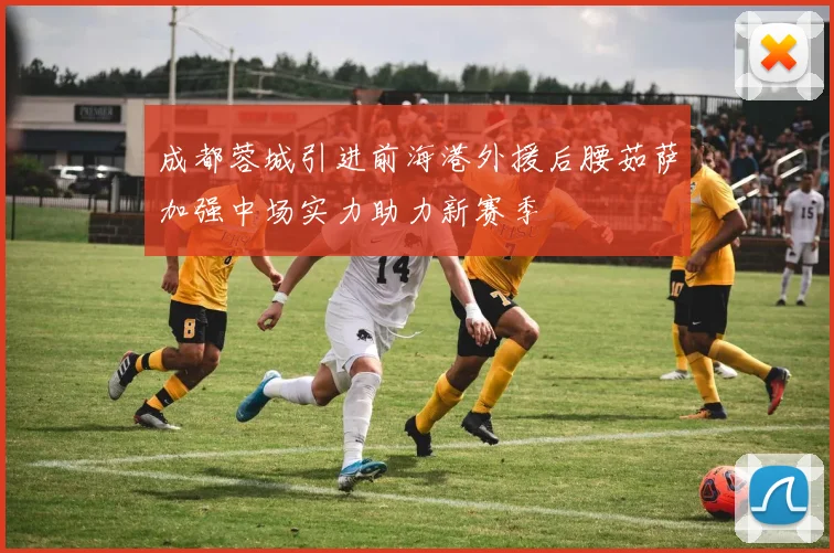 成都蓉城引进前海港外援后腰茹萨加强中场实力助力新赛季